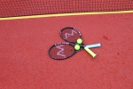 MultiSport Card